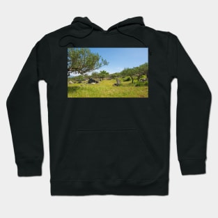 Landscape Near Nerezisca, Brac Island, Croatia Hoodie